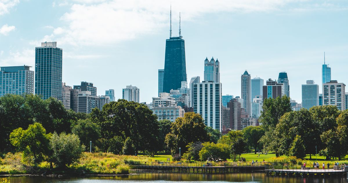 Best IEP advocates in Illinois, Find Parent Advocates directory
