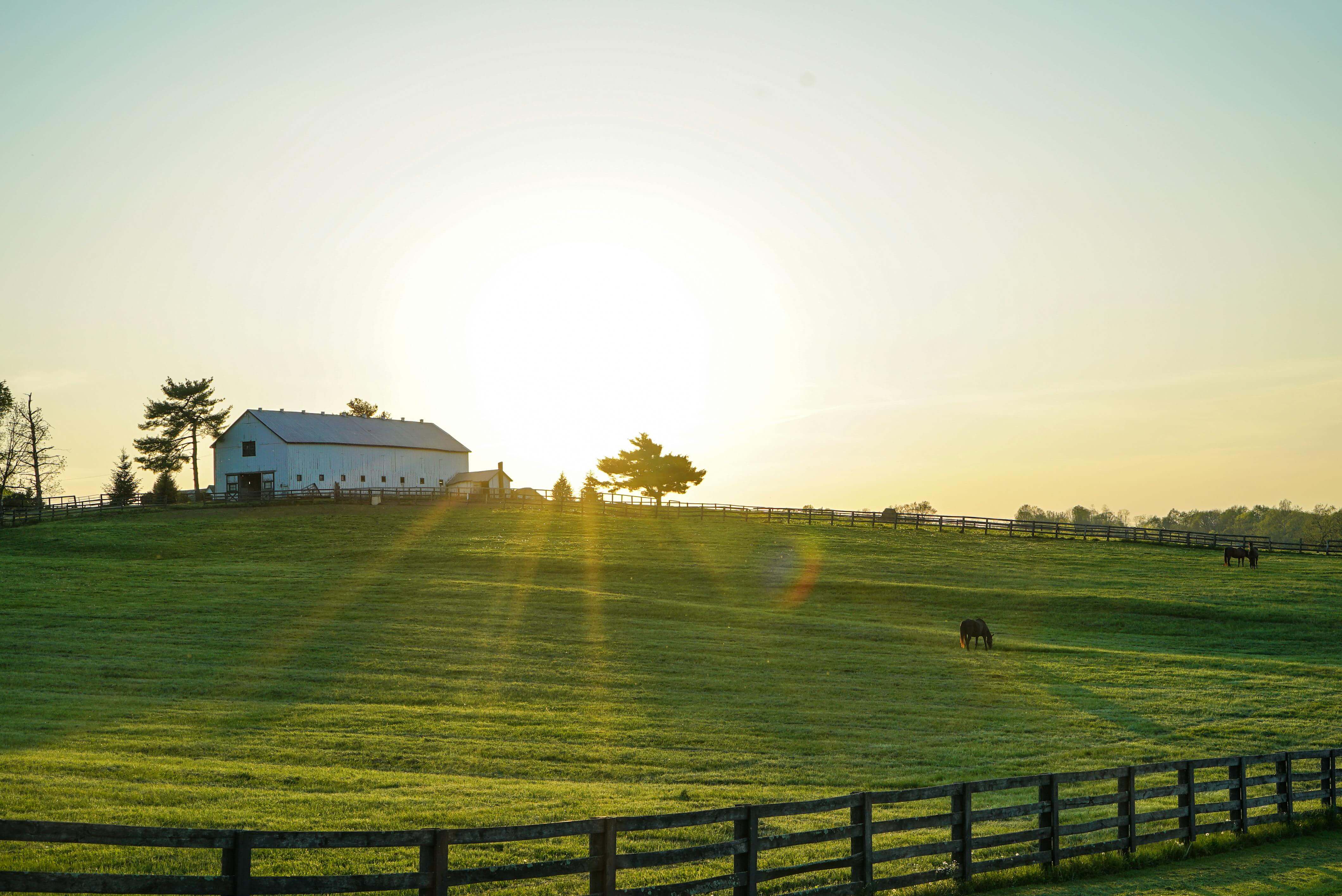 Kentucky cities